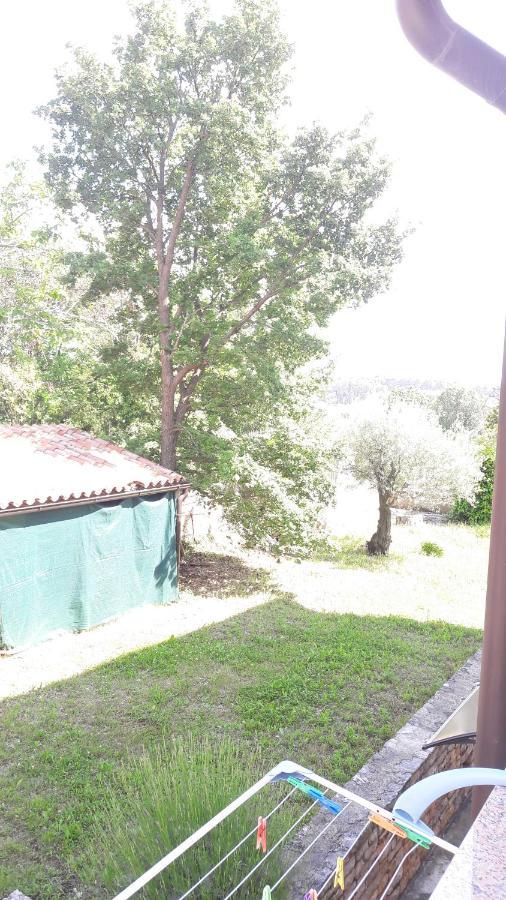 Apartment Radovan Porec Bagian luar foto